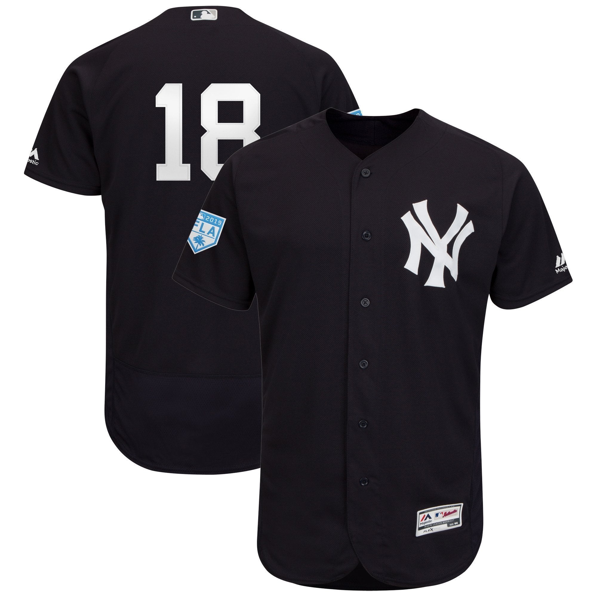 Didi Gregorius New York Yankees 2019 Spring Training Baseball Player Jersey