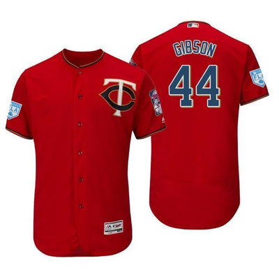 Kyle Gibson Minnesota Twins 2019 Spring Training Baseball Player Jersey