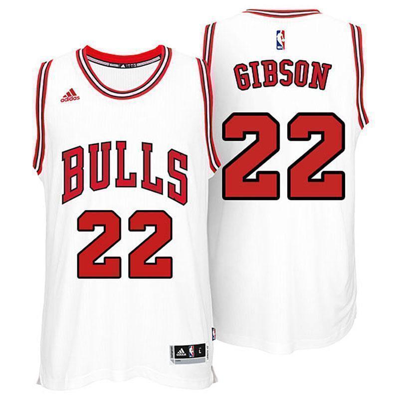 Taj Gibson Chicago Bulls White New Swingman Home Jersey