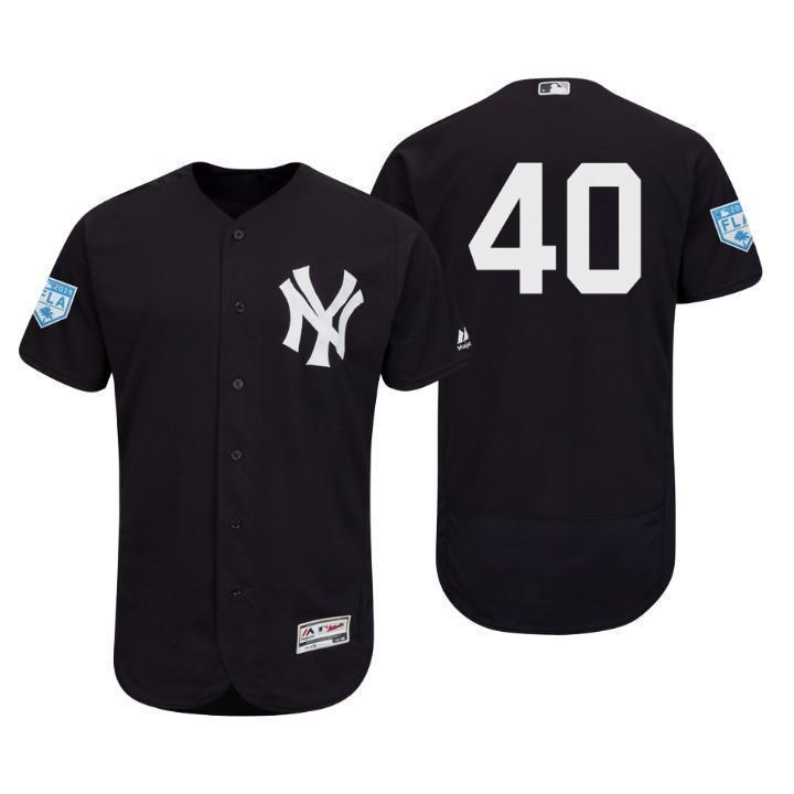 Luis Severino New York Yankees 2019 Spring Training Baseball Player Jersey